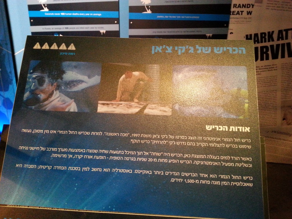 כריש קולנועי  צילום טלי בריל