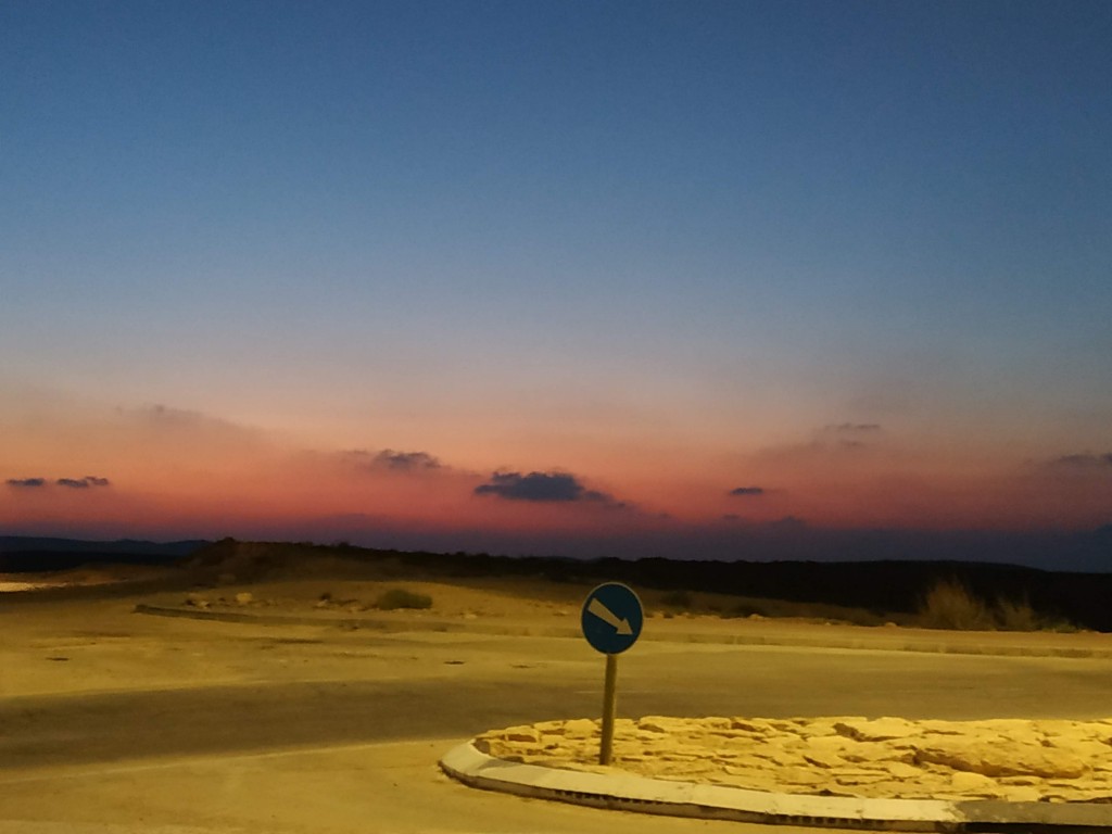 התאהבנו במדבר צילום טלי בריל 