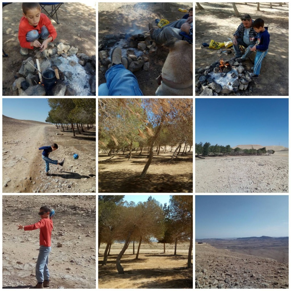 למצוא משהו שכולם אוהבים צילום טלי בריל 