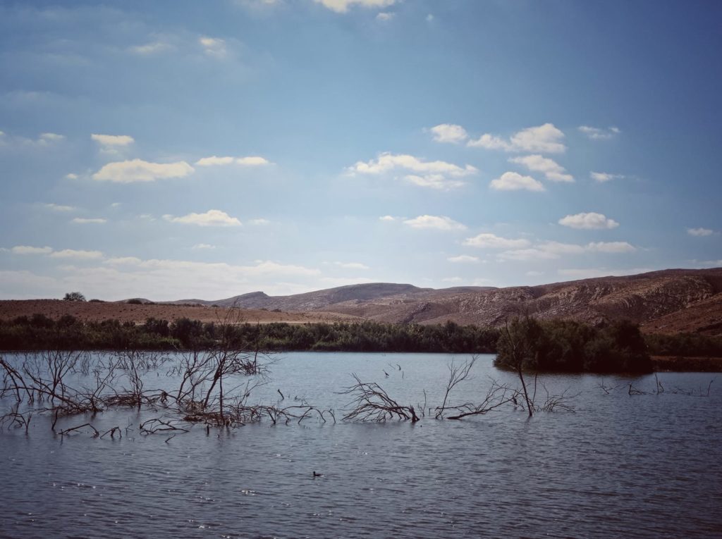 חווית מדבר אגם ירוחם צילום טלי בריל