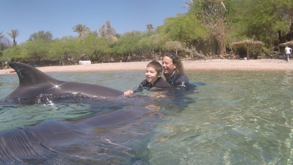תרפייה עם דולפינים, שני דולפינים מטפלת וילד
