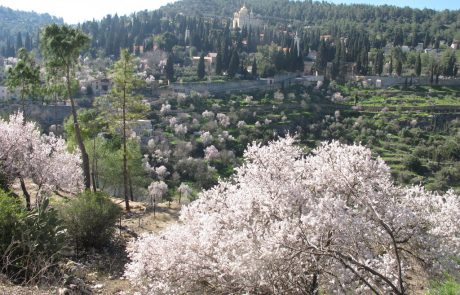 בחודש פברואר – גם מטיילים וגם שומרים על השטחים הפתוחים